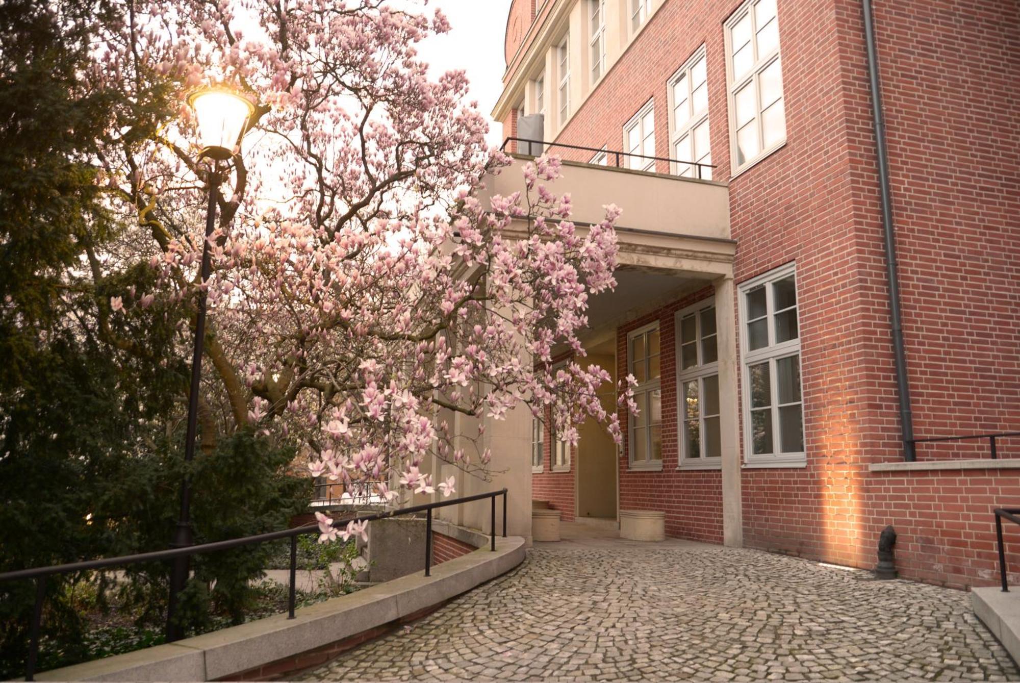 Rooms In Historic Heart Of 弗罗茨瓦夫 外观 照片